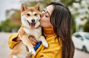Amor tem limite? 5 razões para NÃO abraçar seu cão; a 5ª é bem polêmica
