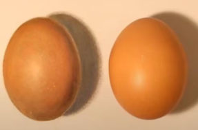 Só um ovo é verdadeiro na imagem de ilusão de ótica; qual deles é?