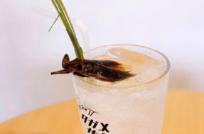 Tomaria? Drinks de insetos são a nova moda dos restaurantes em Tóquio