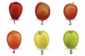 Não é fácil: seu tipo de maçã entrega a pessoa que VOCÊ é; tem coragem?
