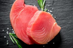 Peixe mais caro do mundo: ESTE é o preço exorbitante da fatia do Atum Azul