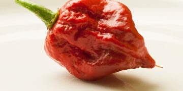 Você sabe qual é a pimenta mais ardida do mundo? Veja aqui