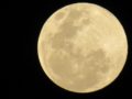 Horóscopo da semana: entenda como a Lua Cheia em Áries influencia cada signo do zodíaco