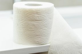 Papel higiênico, água ou lenço umedecido: qual é o melhor para se limpar após o nº2?