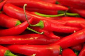 Pepper X desbanca Carolina Reaper se torna a pimenta mais ardida do mundo