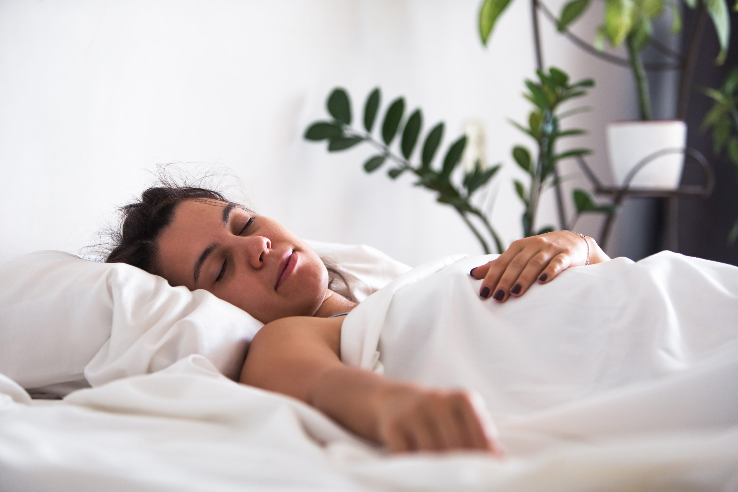 8 plantas que deberían estar en tu dormitorio y mejorar tu sueño