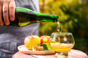 Esqueça o brinde: bebida ‘com vidro’ é retirada do mercado por Anvisa 