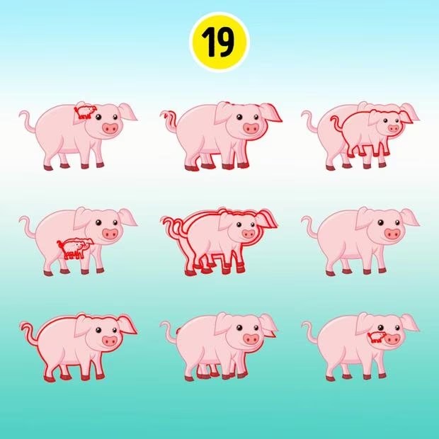 Desafio visual: conte os porcos escondidos na imagem em 15 segundos