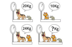 Se você conseguir descobrir o peso dos animais em 11 segundos é um ‘craque’ em matemática