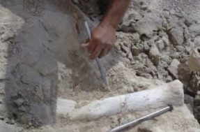 Descoberta bombástica em MG: um capítulo mundial na paleontologia