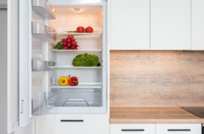 Por que limpar a borracha da geladeira é importante para o funcionamento e para o seu bolso?
