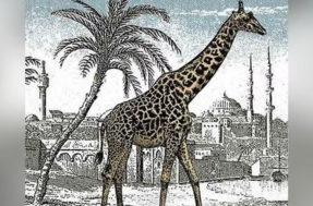 Não é impossível achar a 2ª girafa, mas tente fazer isso em apenas 15s