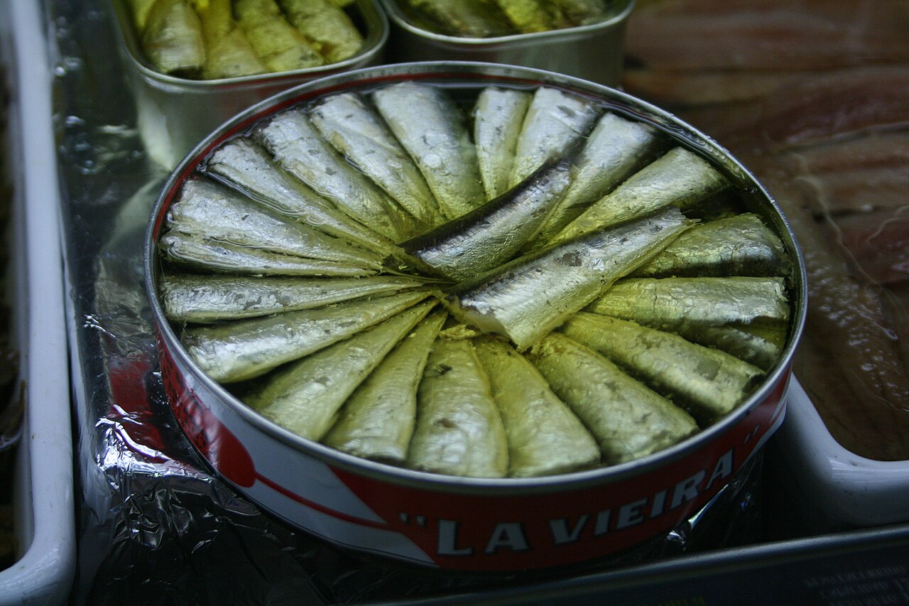 Are canned sardines good?  Harvard study puts an end to doubt