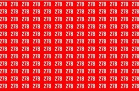 Em meio a tantos números 278, existe um 218: ache-o em 15 segundos!