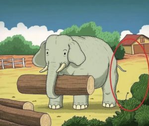 Gabarito - Desafio: encontre o cavalo escondido na cena do elefante. (Reprodução/Jagran Josh)