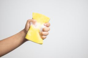 Este é o alerta para todos que usam esponjas na cozinha, segundo infectologista