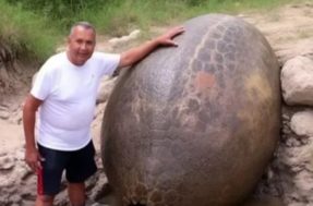 Incrível! Agricultor encontra gigantesco ‘Ovo de Dinossauro’ em sua propriedade