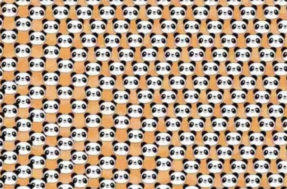 Desafio do ‘panda triste’: encontre-o em 10 segundos ou será tarde demais