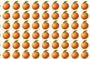Se você vê a mesma laranja, saiba que existe uma ‘intrusa’; ache-a em 4s