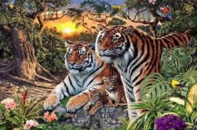 Se você enxerga apenas 4 tigres na paisagem, saiba que há 16; ache-os em 21s
