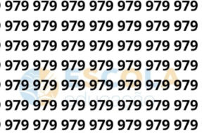 Para gênios: 5s é tudo o que você tem para encontrar o número 919 na imagem!