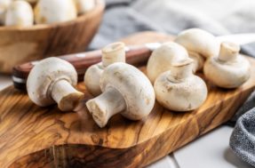3 benefícios poderosos para a saúde que você perde por não comer cogumelo branco