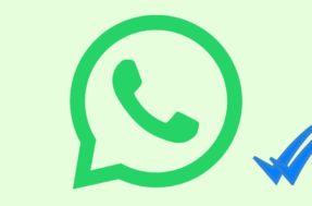 WhatsApp: a real diferença entre uma e duas setinhas, explicada