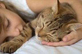 Faz mal dormir com seus gatos? Isso é o que dizem os especialistas