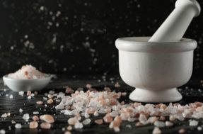 Incrível invenção japonesa salga seus pratos sem usar uma pitada de sal