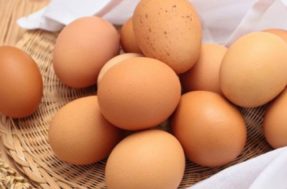 Quantos ovos pode comer na semana? Recomendação da OMS vai te deixar de boca aberta