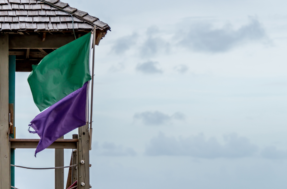 Bandeira roxa na praia: veja o que isso significa antes que seja tarde demais