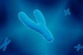 Cromossomo Y está evoluindo mais rápido que o X; motivo é CHOCANTE!