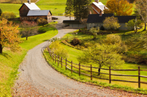 Homesteading: novo estilo de vida que volta às raízes ganha cada vez mais adeptos