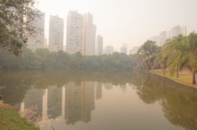 Não é neblina, é fumaça: qualidade do ar piora em várias regiões do Brasil; veja as mais afetadas