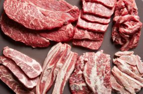 Não dá para levar picanha? Veja opções de carnes econômicas para churrasco