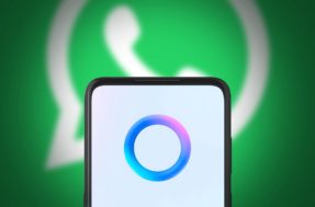 Meta AI no WhatsApp é segura? O que você precisa saber antes de usar