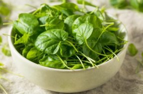 O vegetal ignorado que desbanca todos os outros em benefícios