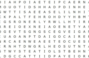 Encontre as palavras ‘DINHEIRO’ e ‘PROSPERIDADE’ neste caça-palavras