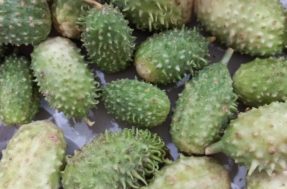 Este vegetal combate 3 doenças crônicas: saiba como incluí-lo em sua alimentação