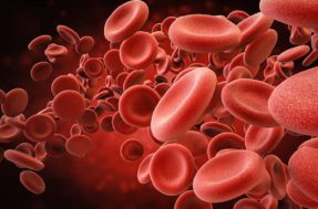 Cientistas japoneses desenvolvem sangue artificial compatível com todos os tipos sanguíneos