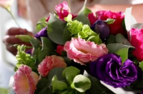 Descubra a flor do seu mês de nascimento e o que ela revela sobre você