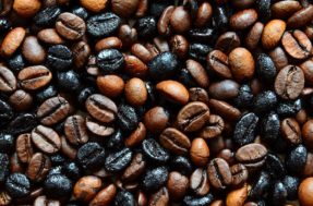 Café que muita gente gosta deveria ser BANIDO do mercado, segundo especialista