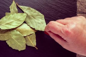 Como uma simples folha de louro pode transformar sua sorte para sempre