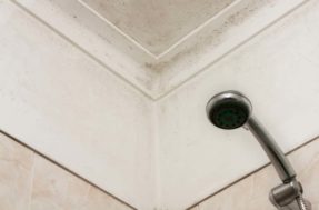 Arquitetos finalmente revelaram os segredos para acabar com MOFO em banheiros sem janela