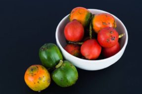 Tesouros da floresta: 5 frutas raras que você só encontra na Amazônia