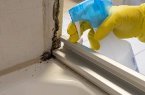 Erro mais comum ao limpar box cria mofo no seu banheiro sem você notar