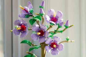 LEGO lança flores que nunca murcham e bonsais que mudam de humor