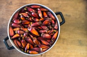 Sofre para descascar pinhão? Truque rápido e eficaz vai acabar com o estresse