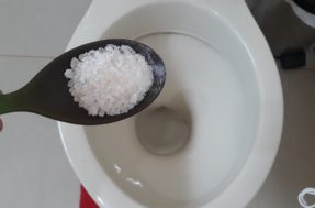 Sal grosso no vaso sanitário é o truque definitivo que você nunca vai querer abandonar