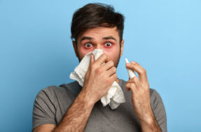 Quais plantas podem ser aliadas contra a rinite? Conheça 8 poderosas